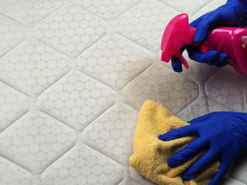 como limpar cama box e prazo